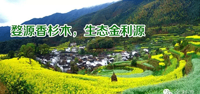 金利源板材/金品質 源生態.從源頭精挑細選，為品質保駕護航——中國板材十大品牌品質篇