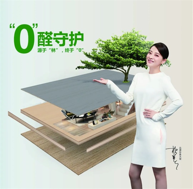 國慶黃金周家裝必備：金利源ENF級香杉實木生態板